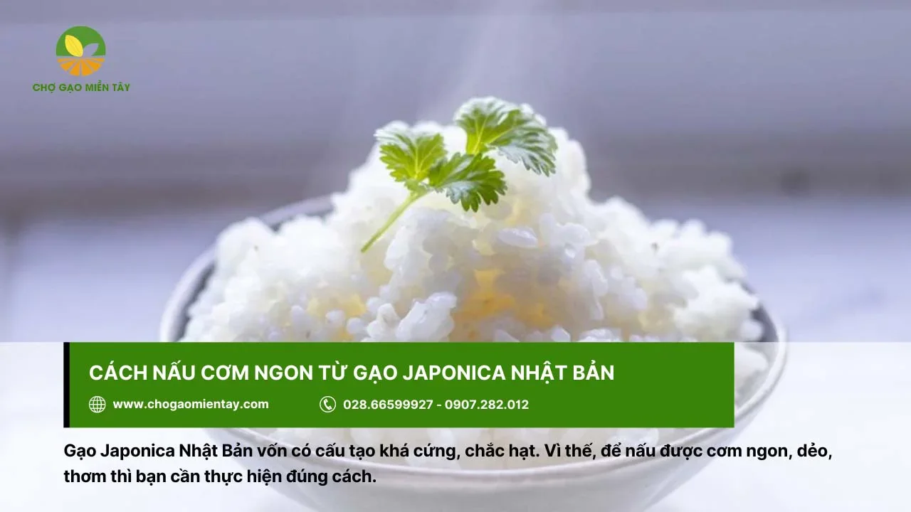 Cơm thơm ngon nấu từ gạo Nhật Japonica