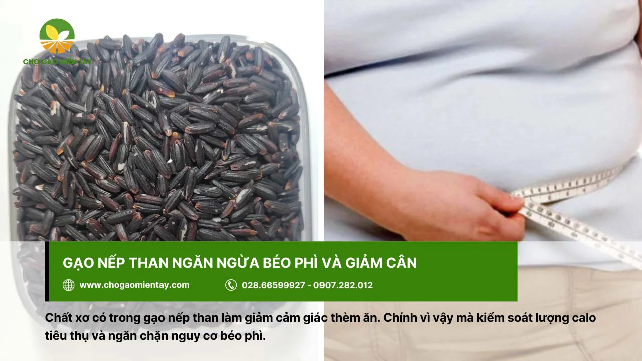 Một trong những tác dụng của nếp than là ngăn ngừa béo phì