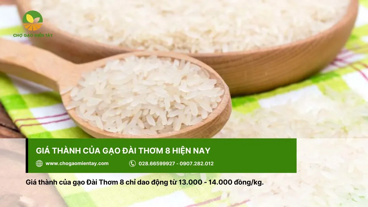 Gạo Đài Thơm 8 dao động từ 13.000 - 14.000 đồng/kg