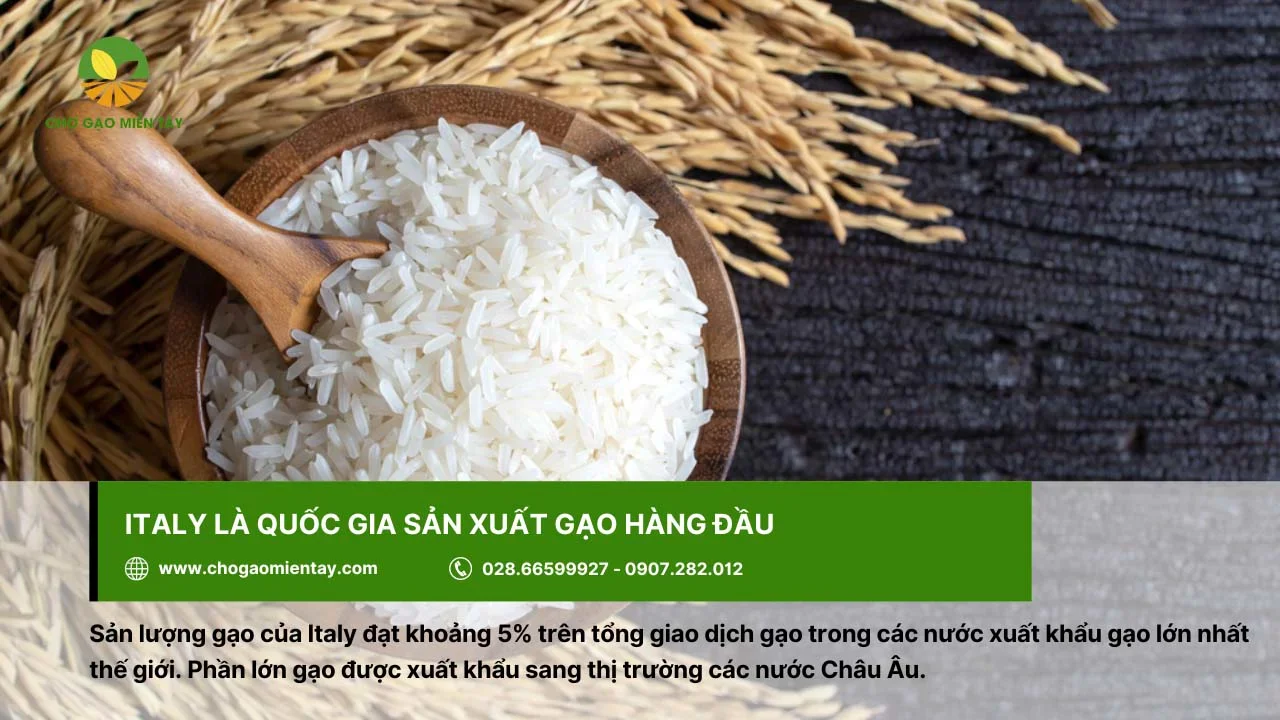 Gạo tại Italia được xuất khẩu sang thị trường các nước Châu  Âu