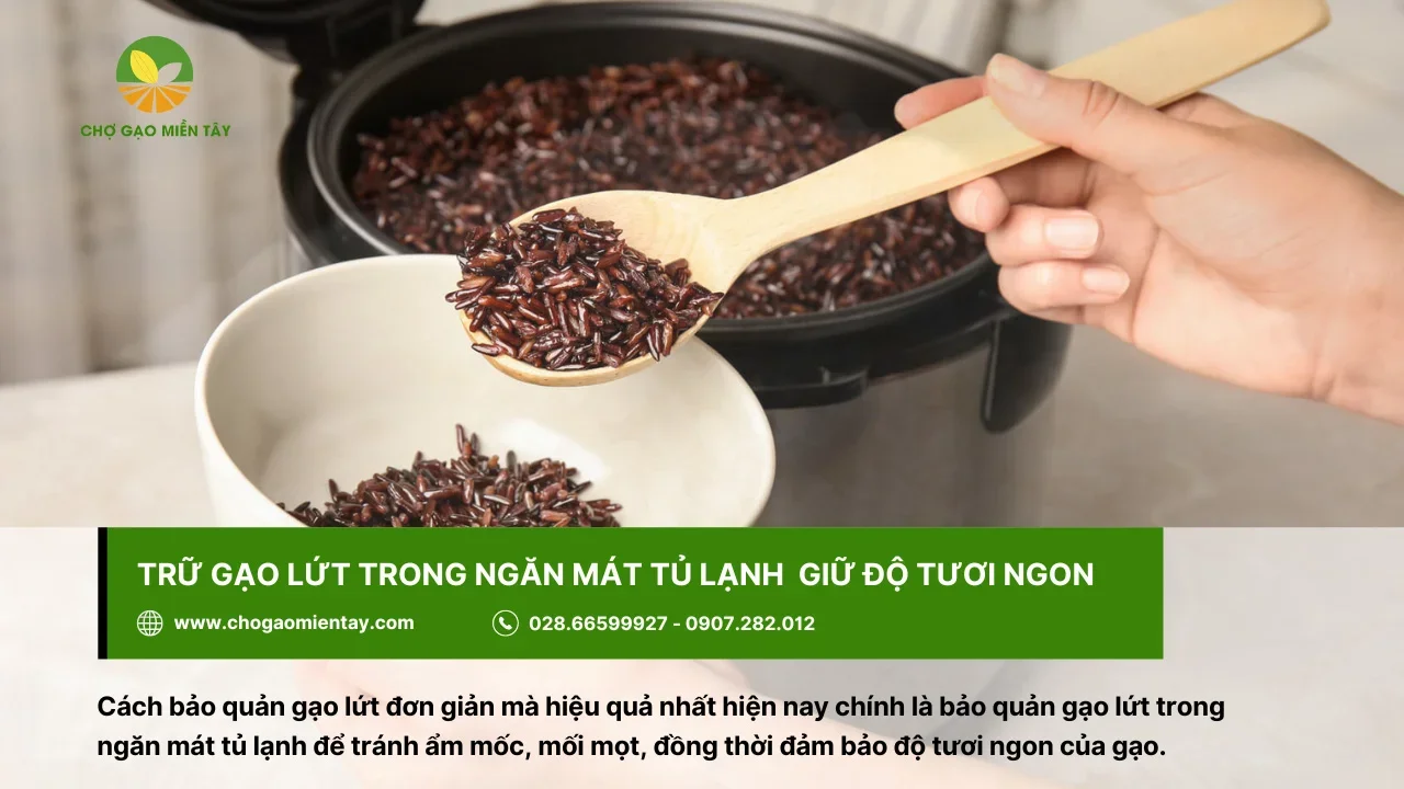 Bảo quản gạo lứt trong tủ lạnh giúp giữ độ tươi ngon