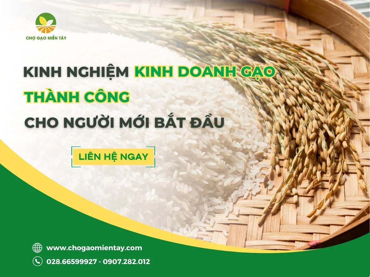Kinh nghiệm kinh doanh gạo cho người mới bắt đầu
