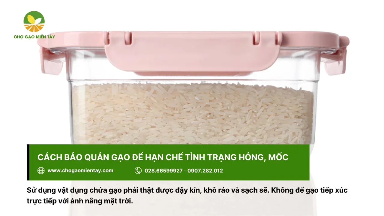 Bảo quản gạo bằng những vật dụng khô ráo và đậy nắp thật kín