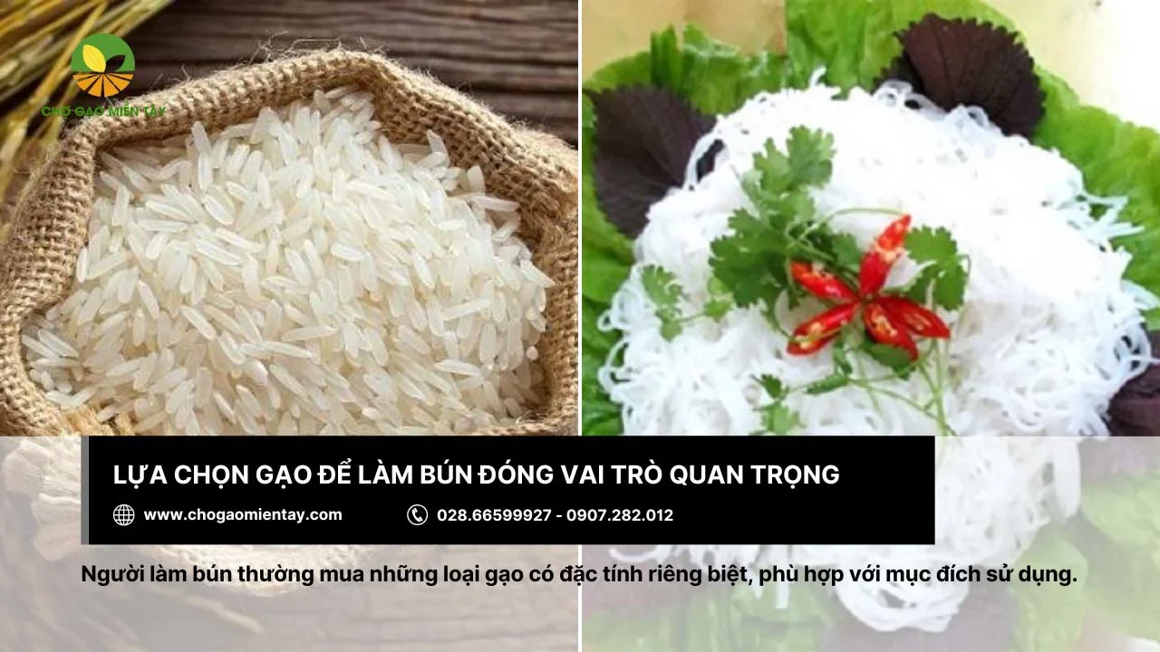 Tùy mục đích sử dụng mà chọn các loại gạo có đặc tính riêng biệt