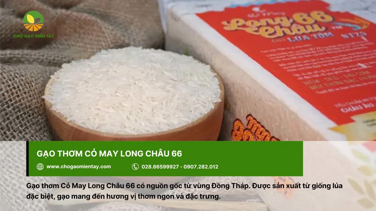 Làm quà biếu bằng gạo thơm Cỏ May Long Châu 66 với vị đặc trưng