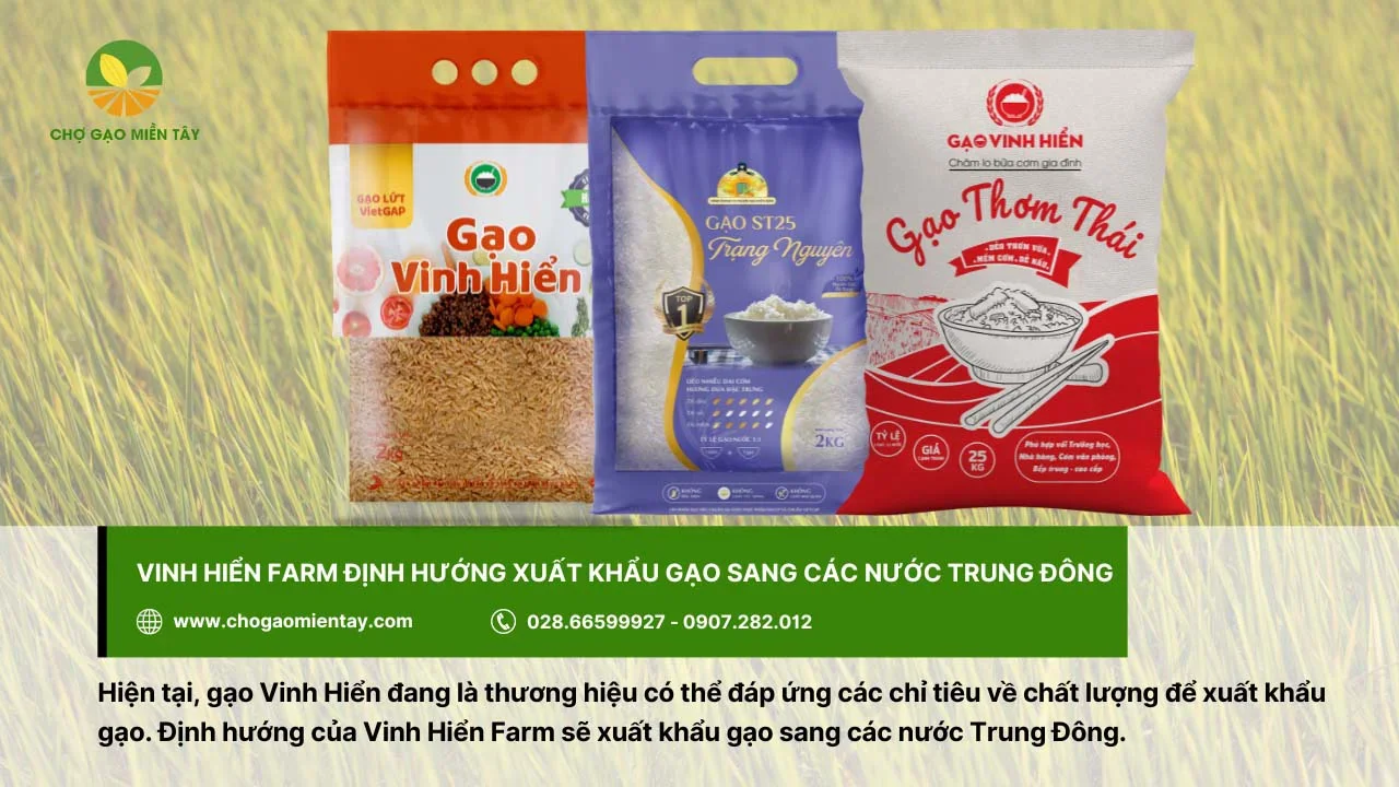 Các loại gạo Vinh Hiển Farm định hướng xuất khẩu sang các nước Trung Đông