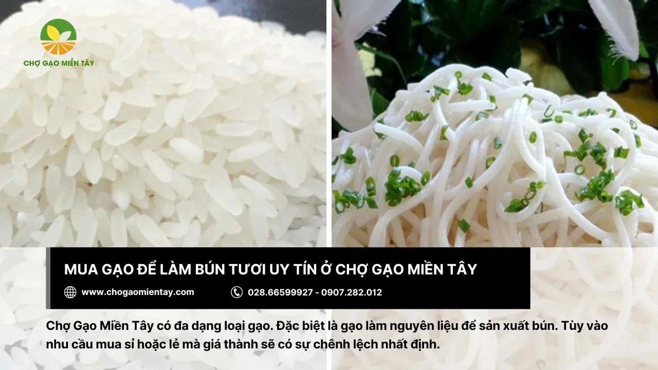 Chợ Gạo Miền Tây cung cấp gạo làm bún tươi chất lượng