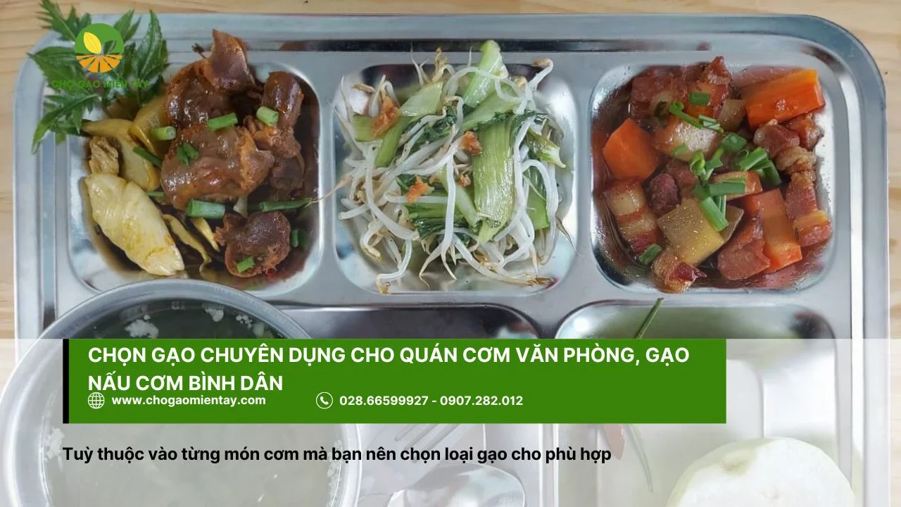 Chọn gạo chuyên dụng cho quán cơm văn phòng, gạo nấu cơm bình dân