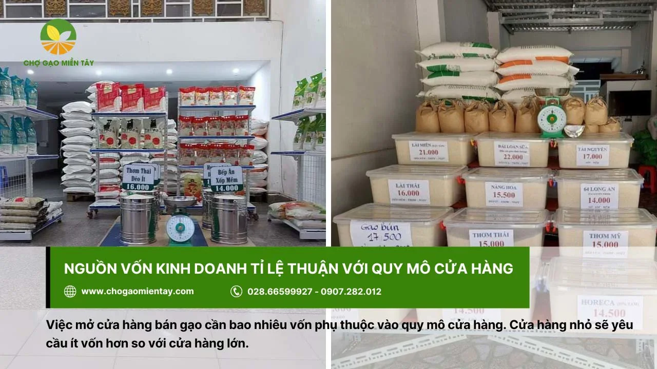 Nguồn vốn đầu tư phụ thuộc vào quy mô của cửa hàng gạo