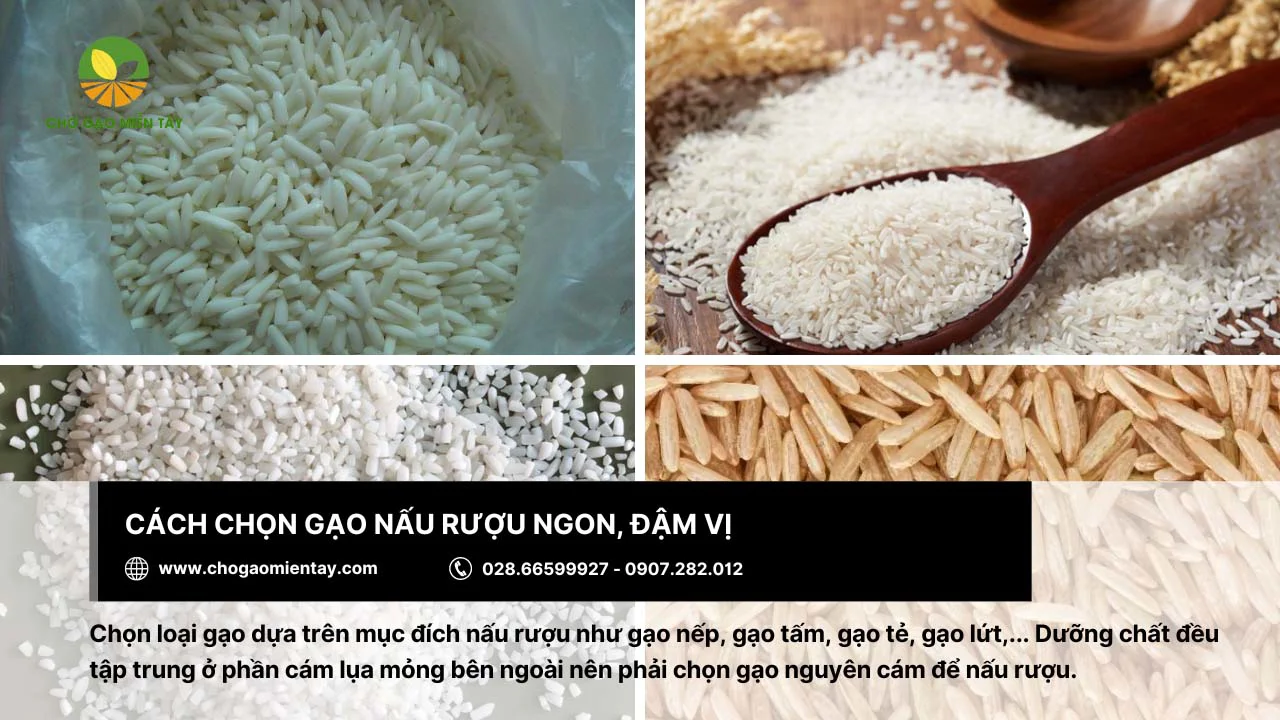 Chọn gạo nấu rượu dựa trên mục đích của bạn