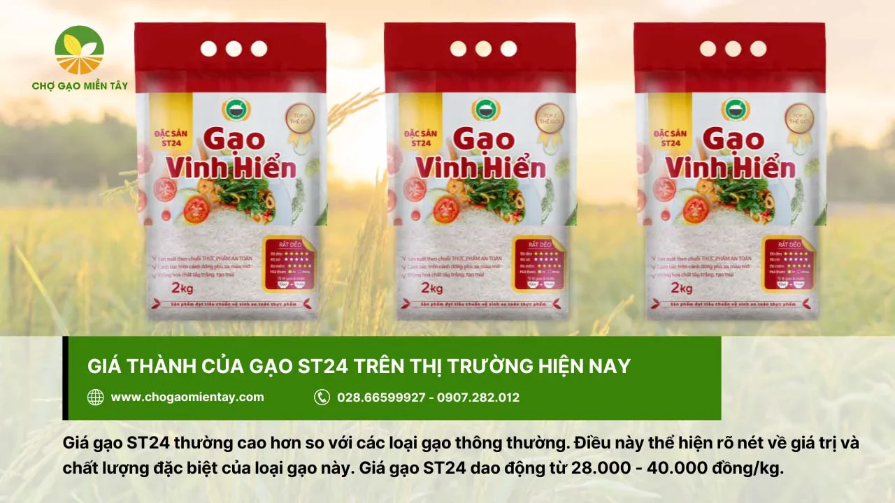 Giá gạo ST24 dao động khoảng 28.000 - 40.000 đồng/kg