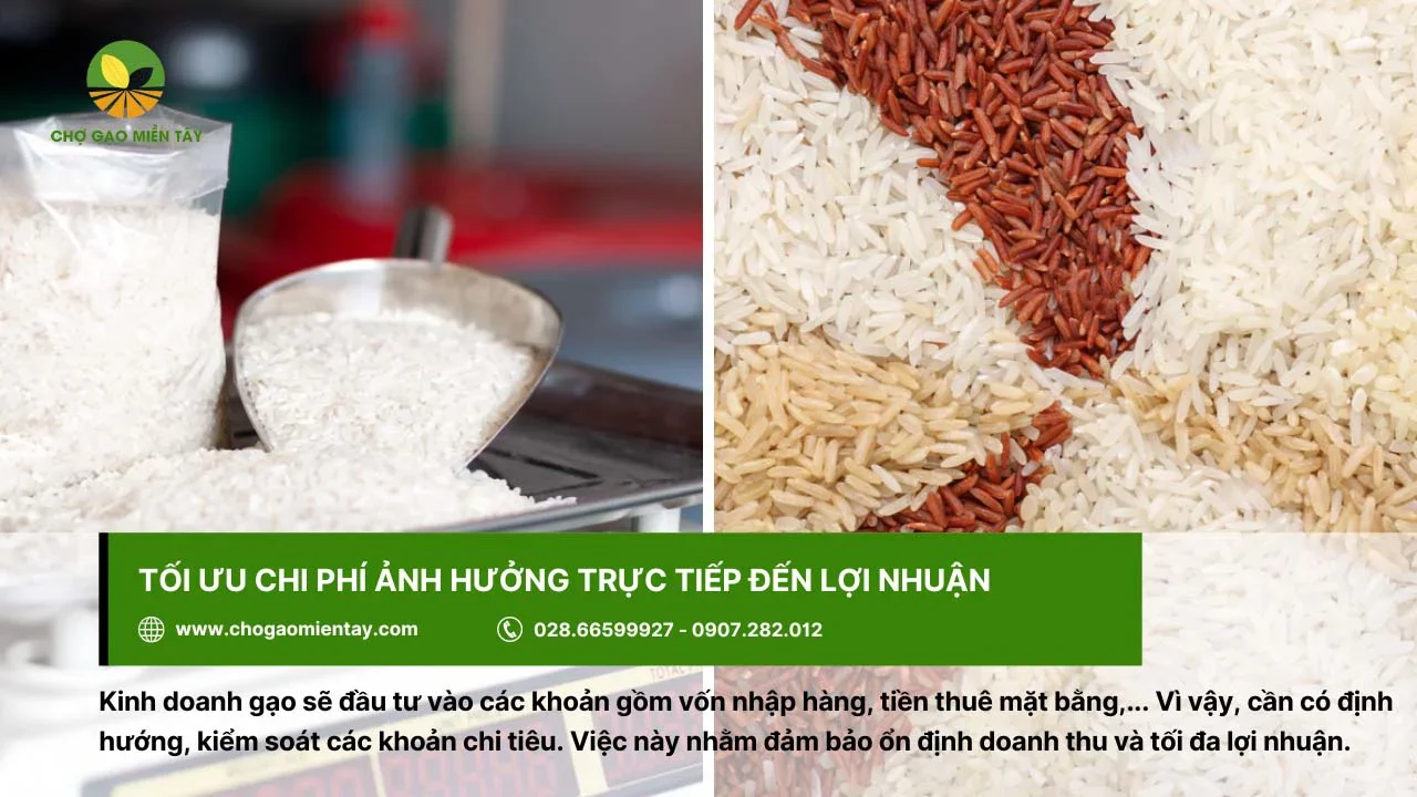 Tối ưu các chi phí trực tiếp ảnh hưởng đến lợi nhuận kinh doanh gạo