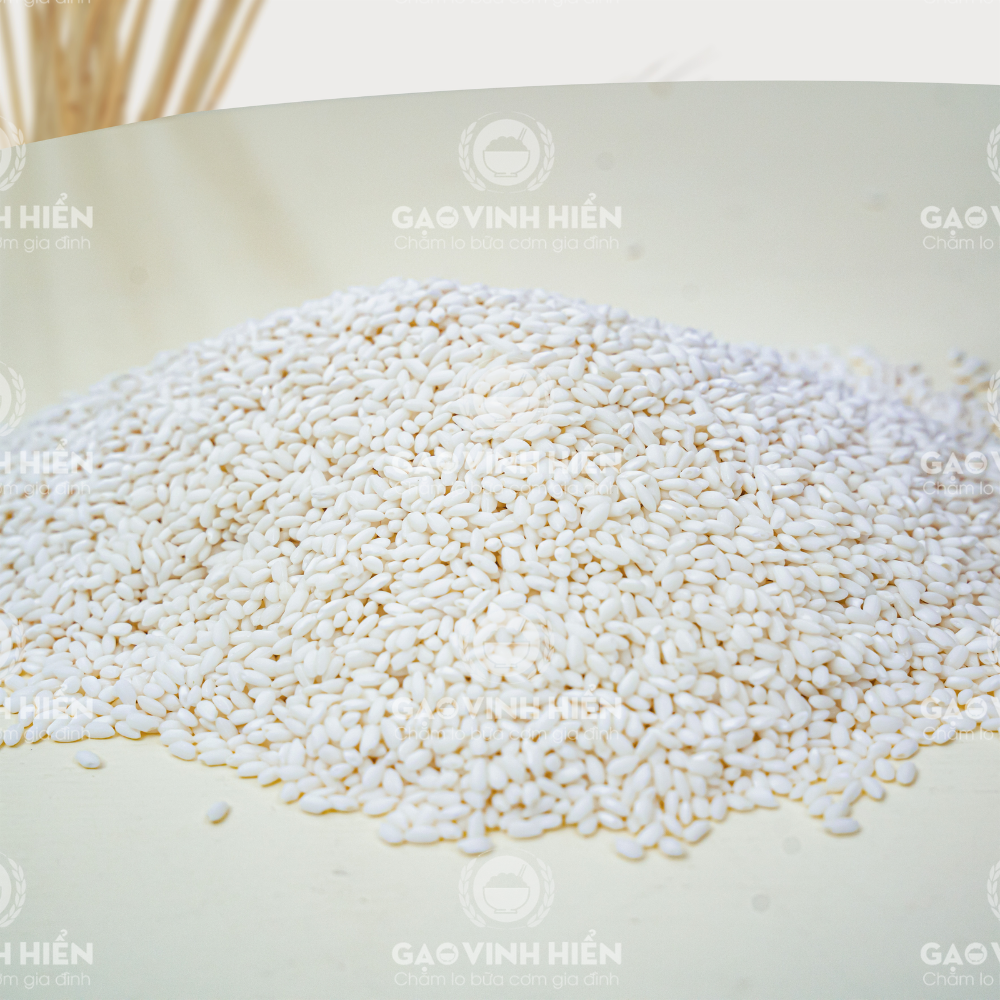 Nếp cái hoa vàng Vinh Hiển