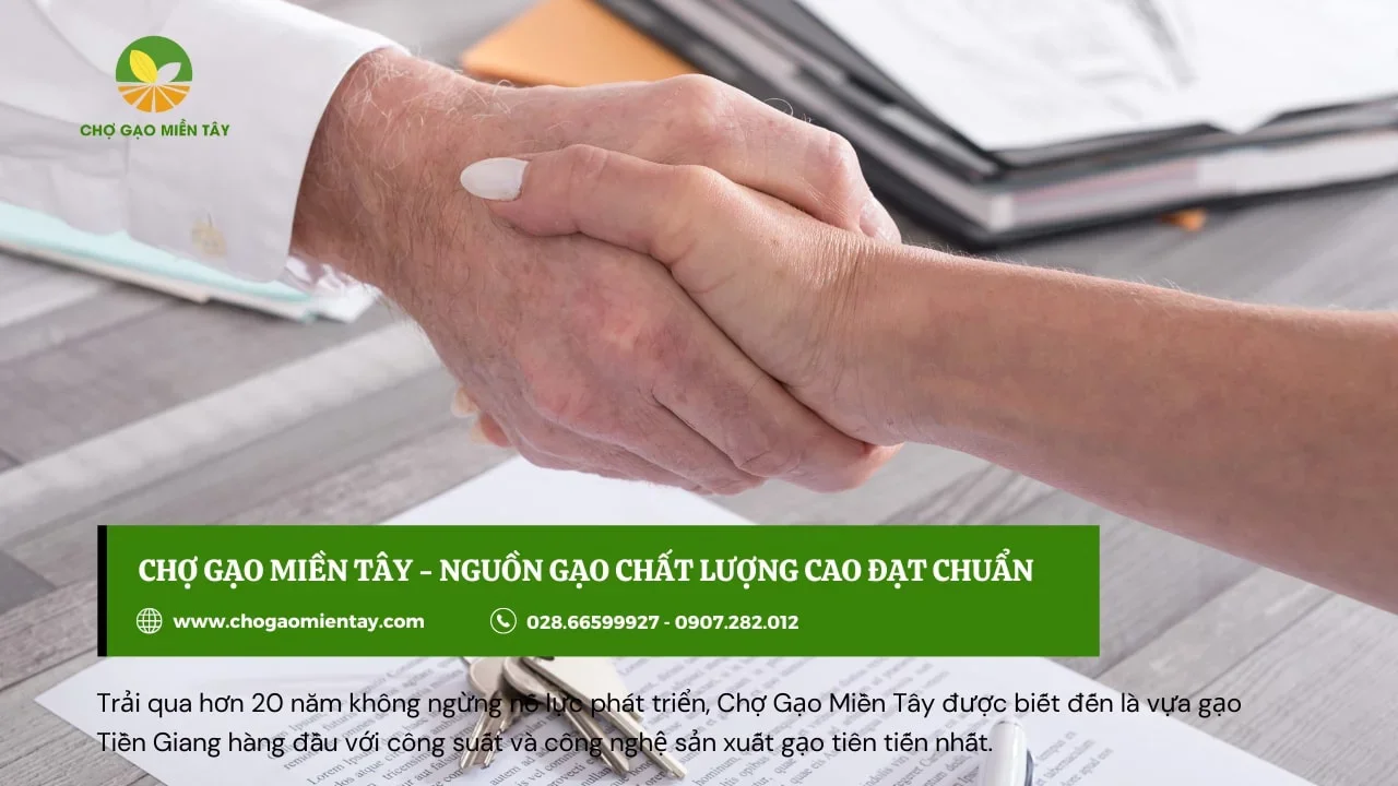 Nên học thêm kinh nghiệm bán hàng khi làm đại lý kinh doanh gạo