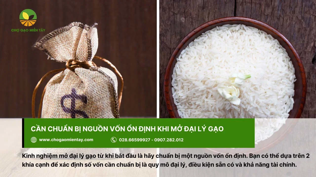 Cần phân chia nguồn vốn mở đại lý gạo một cách hợp lý