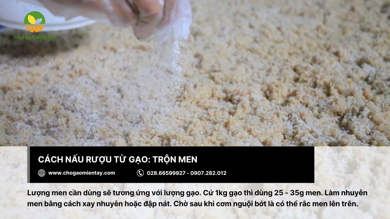 Rắc men lên sau khi cơm rượu đã nguội