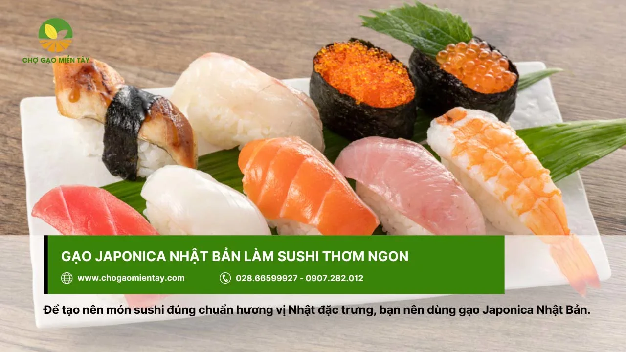 Gạo Japonica tạo món sushi đúng hương vị Nhật