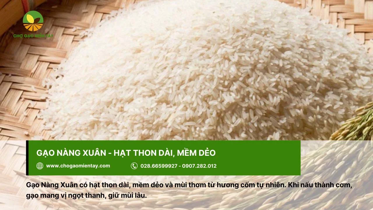 Gạo Nàng Xuân cho cơm có vị ngọt thanh và giữ mùi lâu