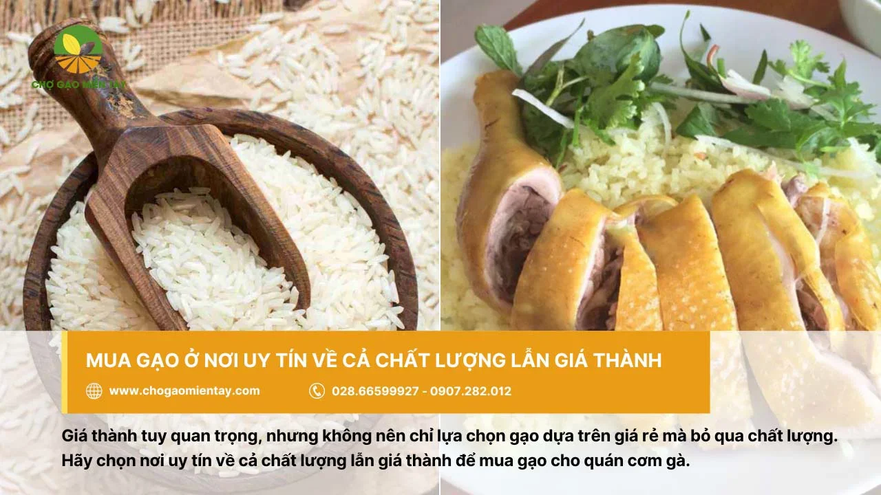 Nên mua gạo đảm bảo tốt về chất lượng và giá cả