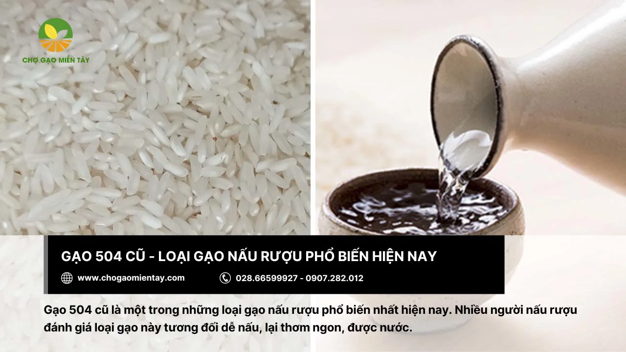 Gạo 504 cũ được sử dụng phổ biến để nấu rượu