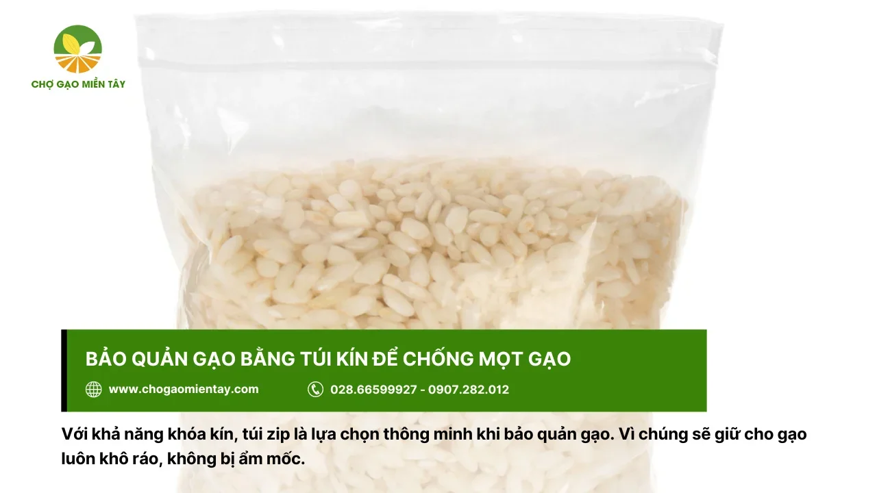 Sử dụng túi zip để bảo quản gạo, tránh bị mọt mối
