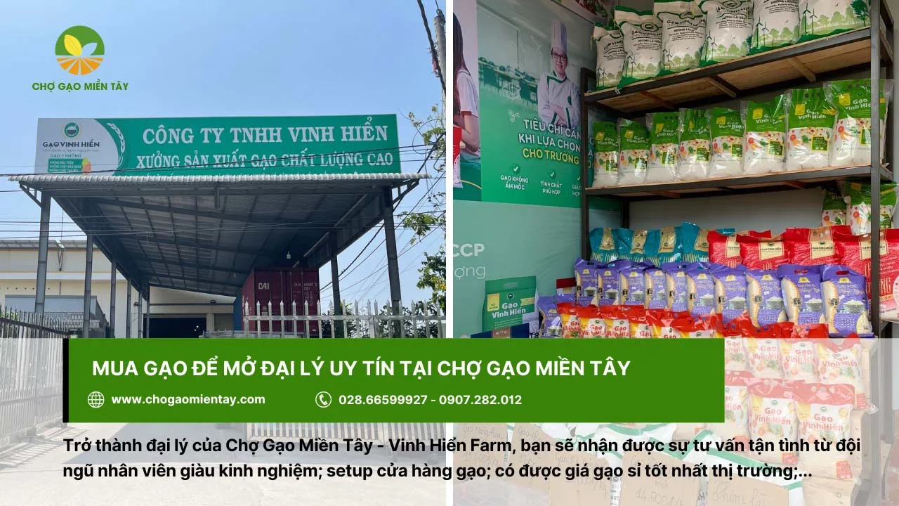 Mua gạo để mở đại lý uy tín, giá tốt tại Chợ Gạo Miền Tây
