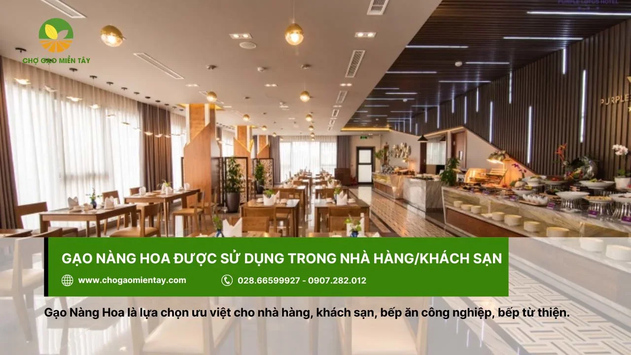 Gạo Nàng Hoa thường được sử dụng trong các quán ăn văn phòng