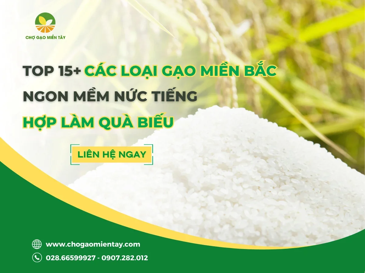 Các loại gạo miền Bắc