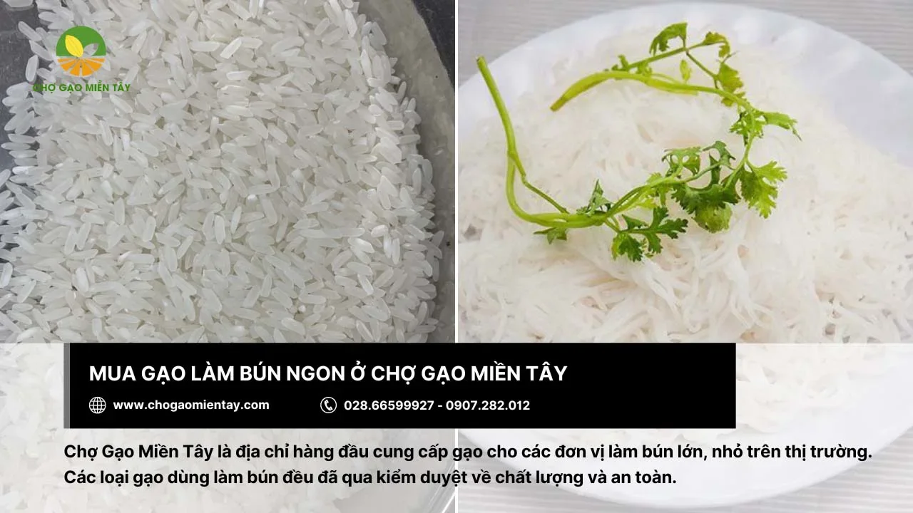 Chợ Gạo Miền Tây - nơi cung cấp gạo chất lượng để sản xuất bún