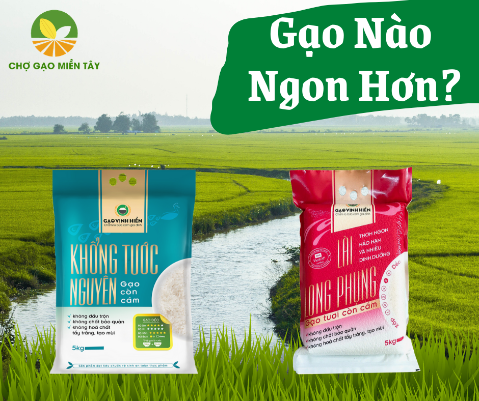 gạo khổng tước nguyên và lài long phụng