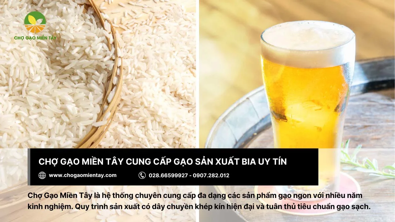 Chợ Gạo Miền Tây - nơi cung cấp gạo làm bia chất lượng