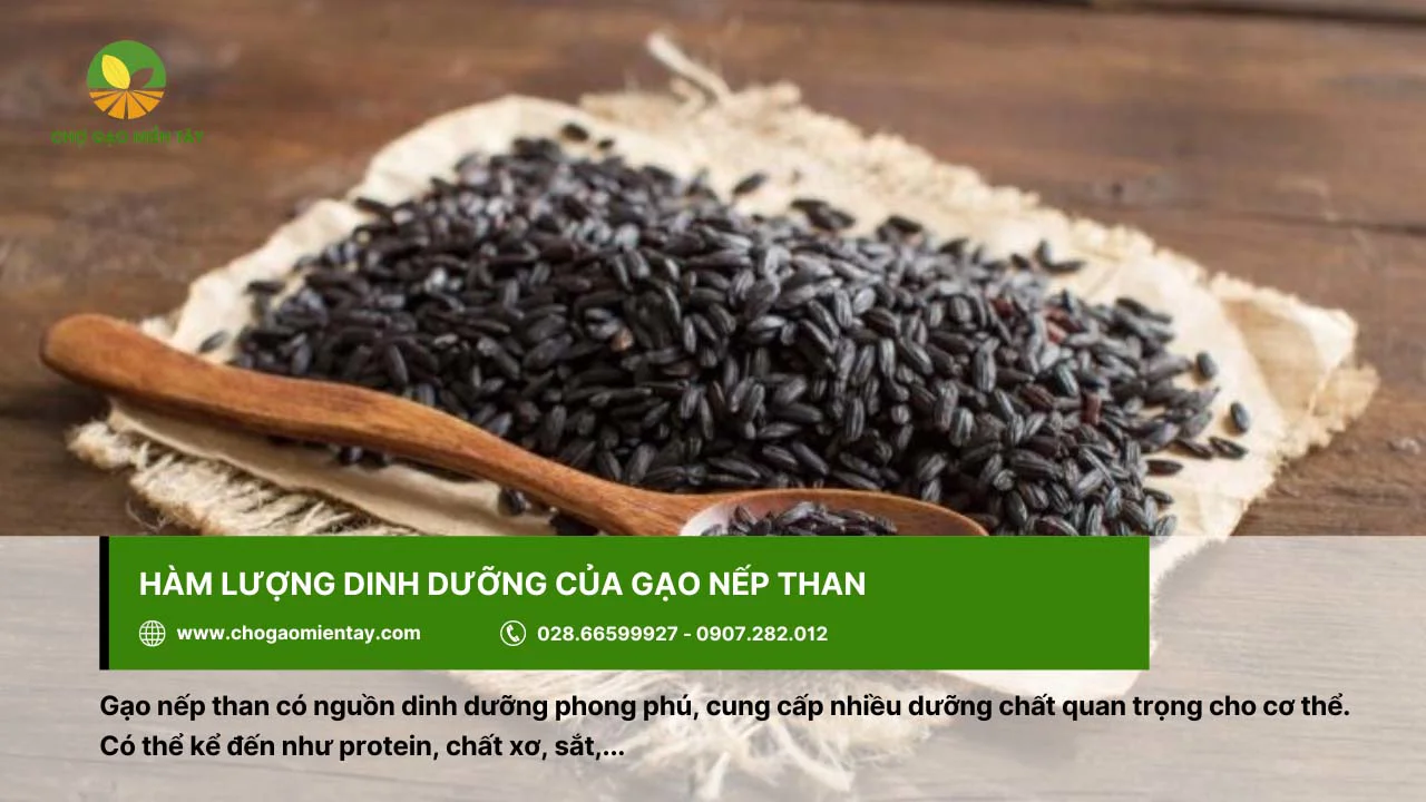 Gạo nếp than sở hữu hàm lượng dinh dưỡng cao