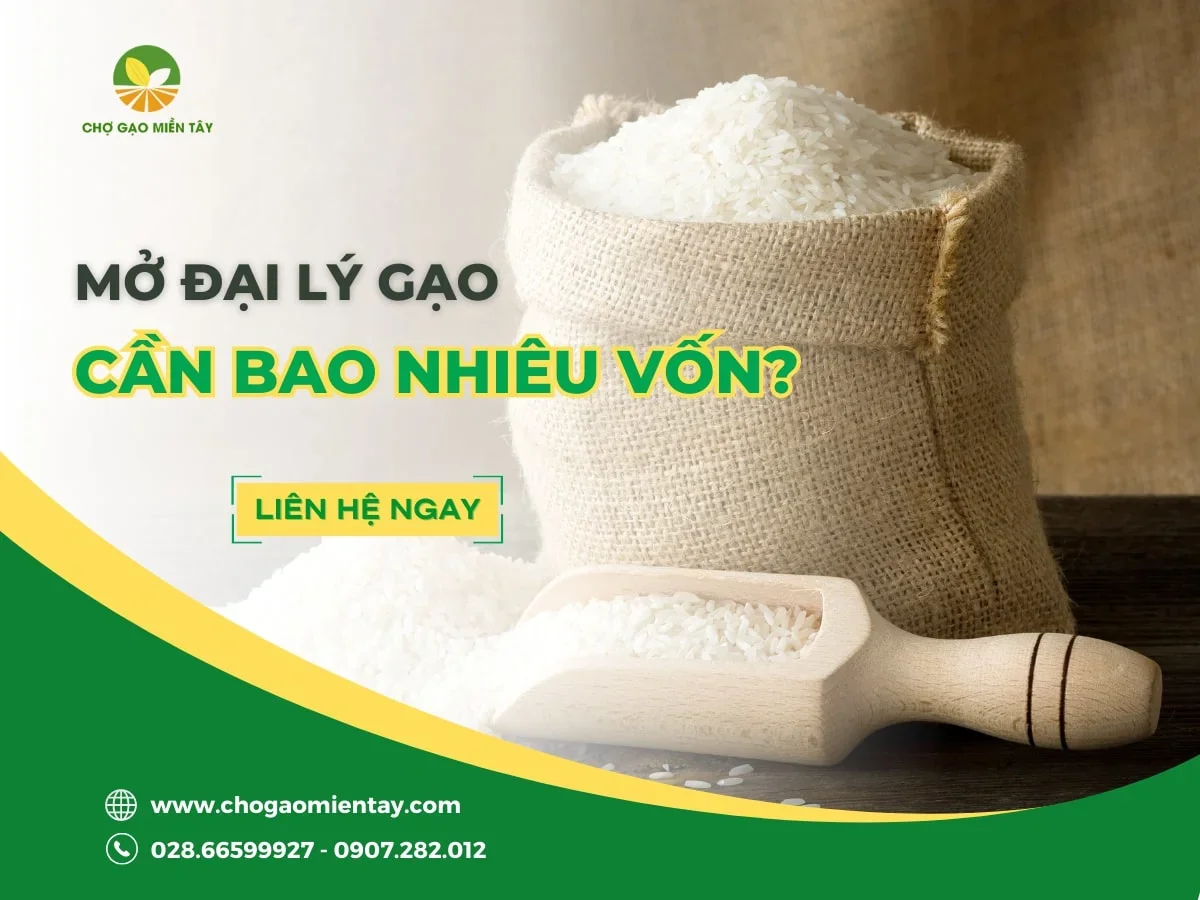 Mở cửa hàng bán gạo cần bao nhiêu vốn?