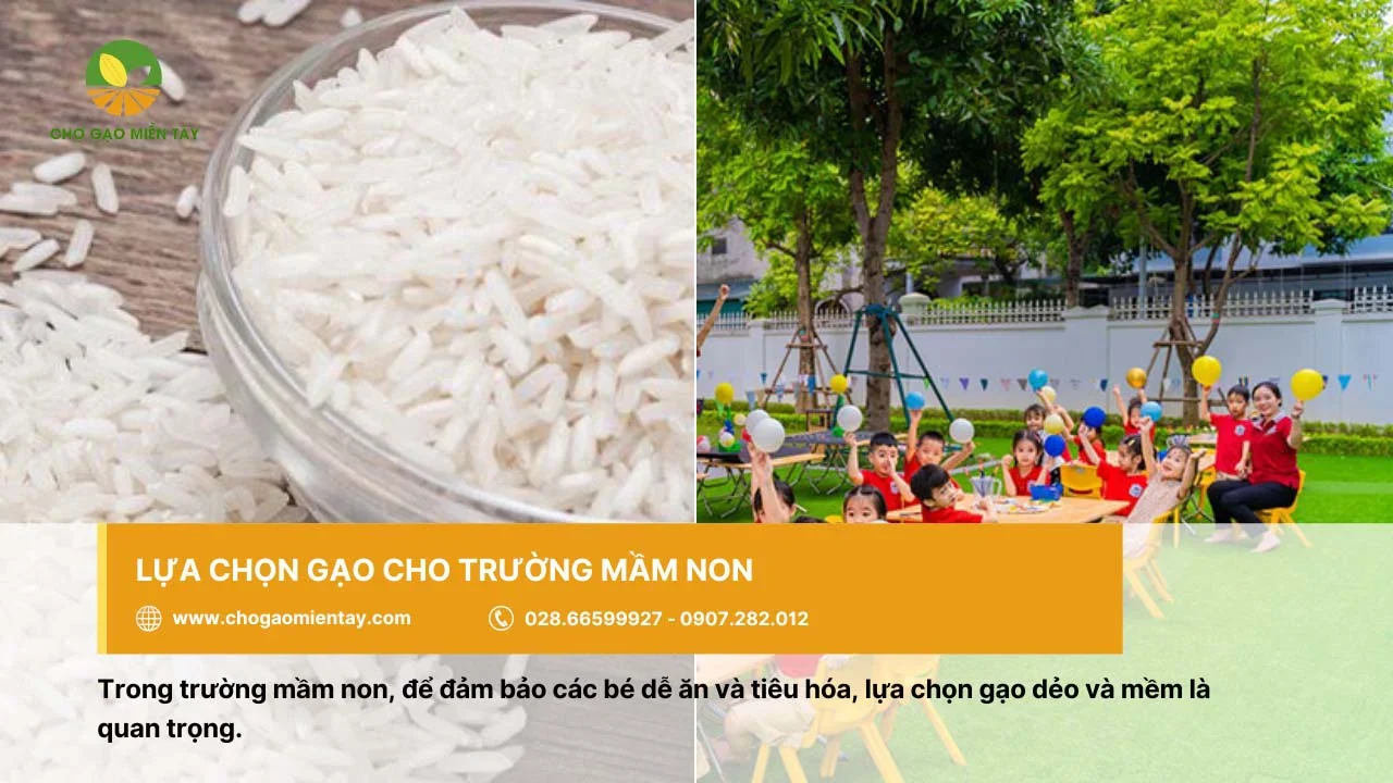 Gạo cho trường mầm non nên chọn loại dẻo, mềm