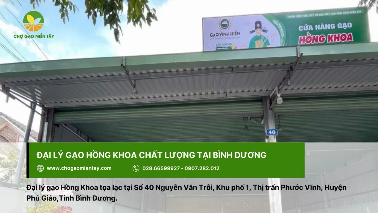 Hồng Khoa là một trong các đại lý gạo chất lượng ở Bình Dương