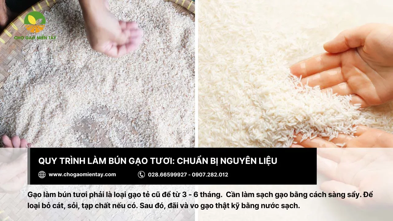 Chọn loại gạo tẻ cũ để từ 3 - 6 tháng