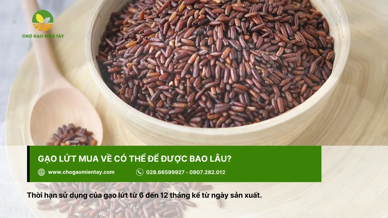 Gạo lứt mua về có thể sử dụng trong vòng 6 tháng