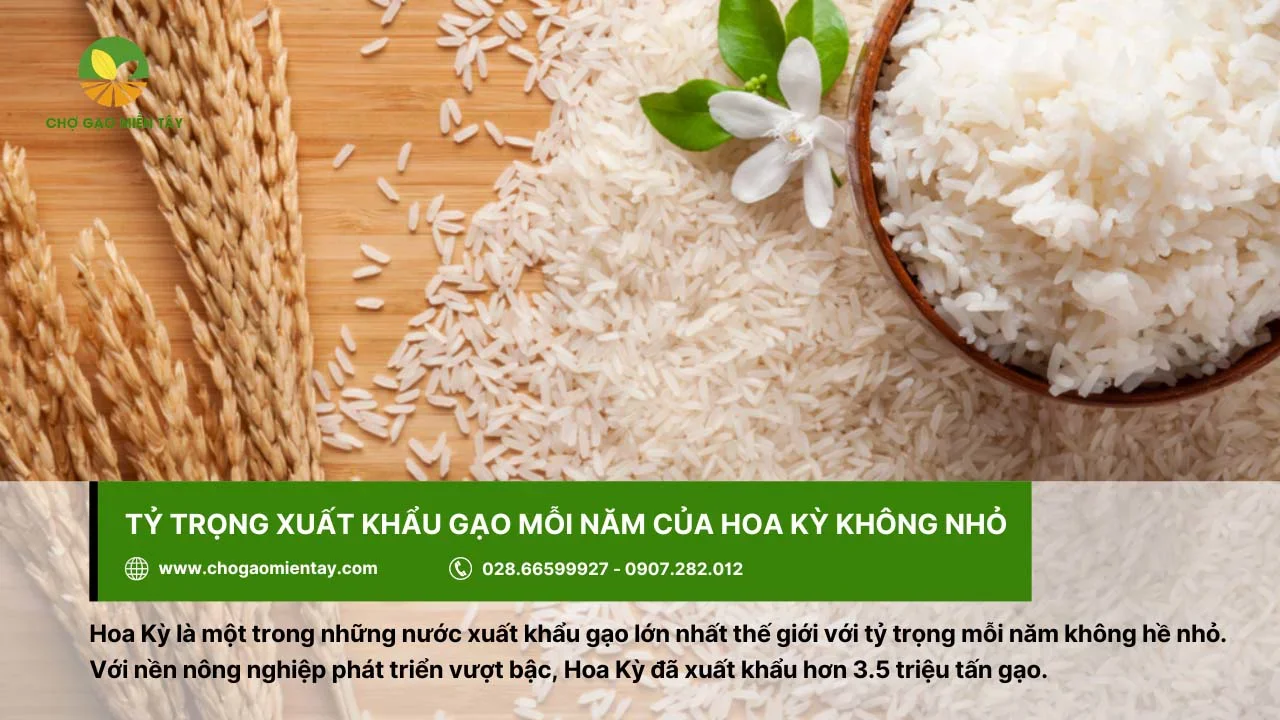 Hoa Kỳ - nước xuất khẩu gạo lớn nhất thế giới