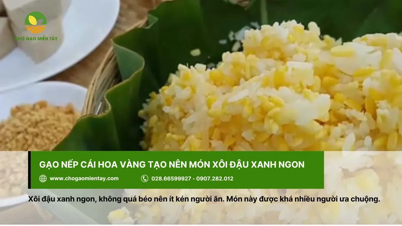 Xôi đậu xanh được nhiều người yêu thích