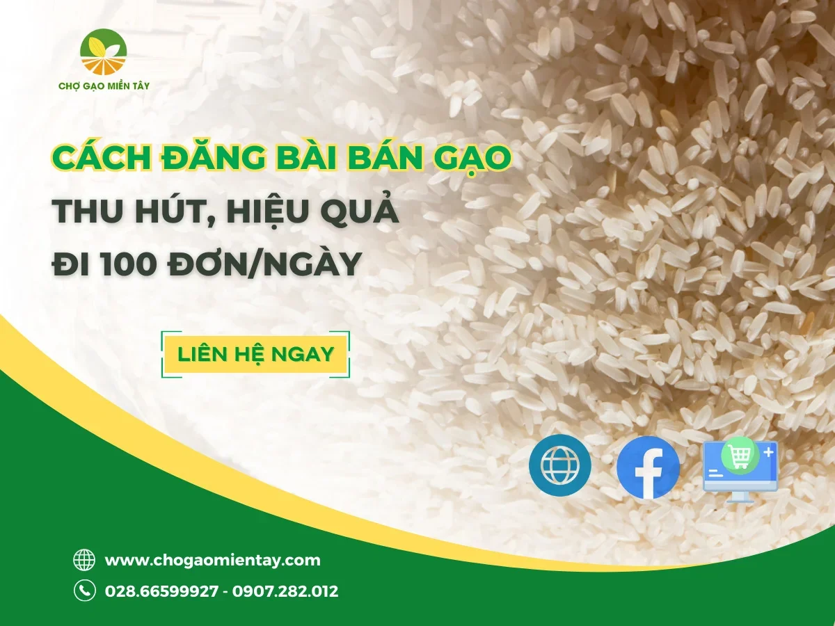 Cách Đăng Bài Bán Gạo Thu Hút, Hiệu Quả, Đi 100 Đơn/Ngày
