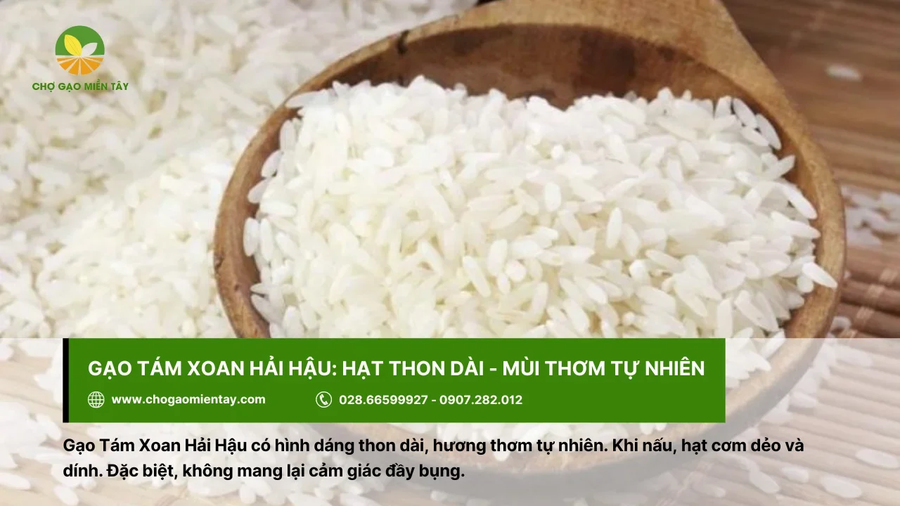 Gạo tám xoan Hải Hậu với mùi thơm tự nhiên
