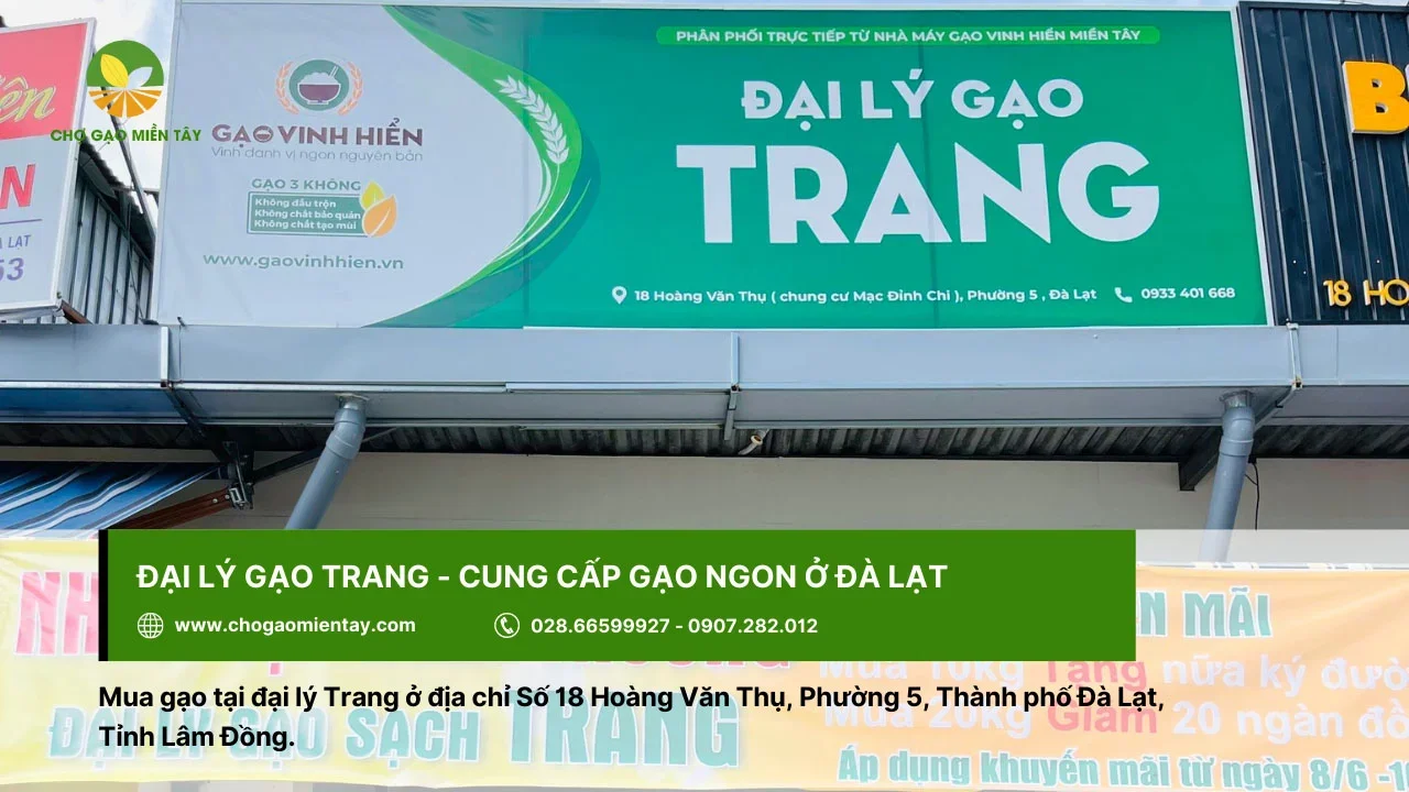 Tìm cửa hàng gạo ở Đà Lạt? Đến ngay gạo Trang