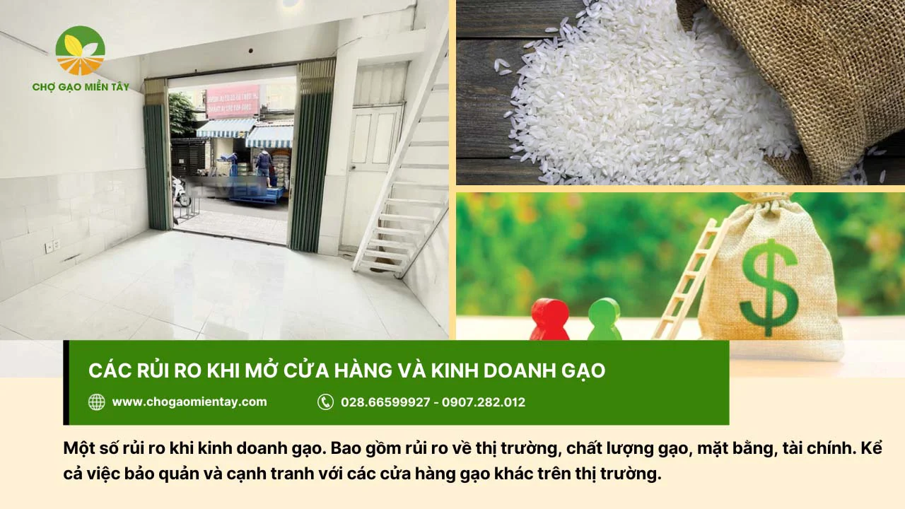 Cần lưu ý các rủi ro trong kinh doanh gạo