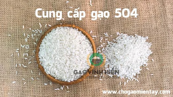 Cung cáº¥p gáº¡o 504 cho Äáº¡i lÃ½ - Chá»£ Gáº¡o Miá»n TÃ¢y