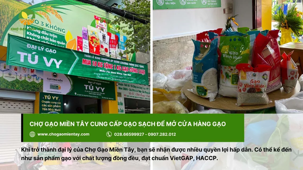 Chợ Gạo Miền Tây cung cấp gạo sạch để mở cửa hàng gạo