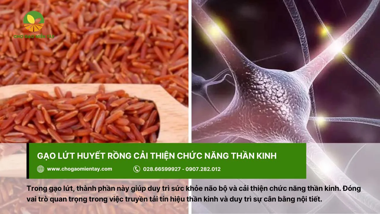 Cải thiện chức năng thần kinh nhờ gạo lứt huyết rồng