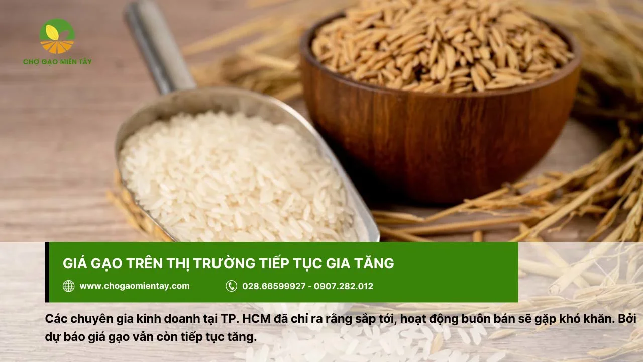 Thị trường gạo có dấu hiệu tiếp tục gia tăng