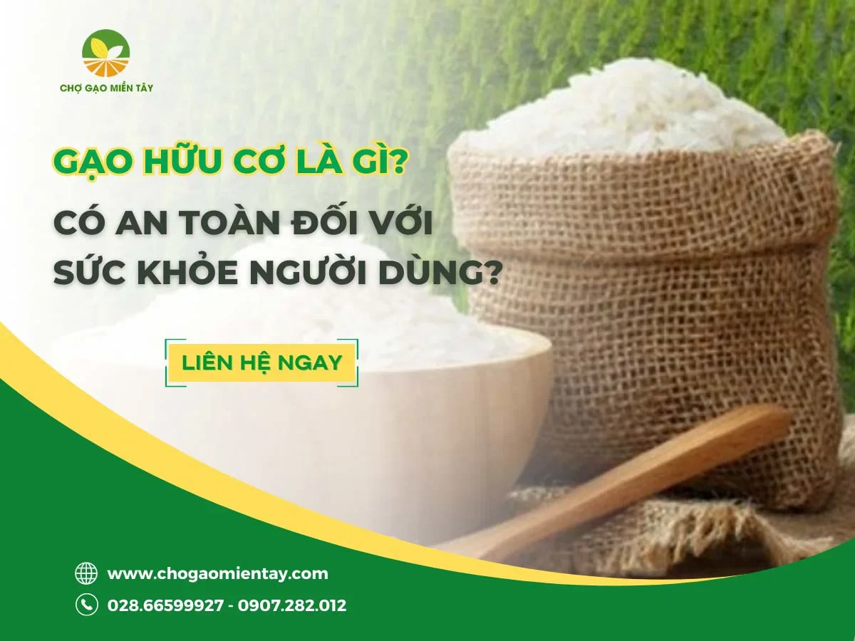 Gạo hữu cơ là gì? Có an toàn đối với sức khỏe người dùng?