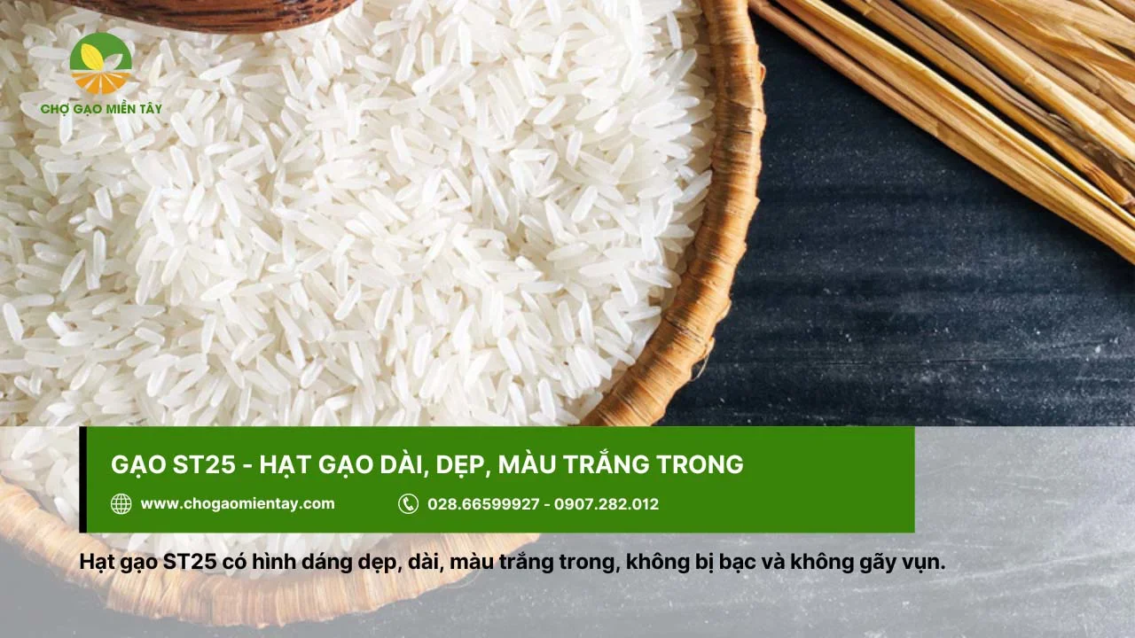 Gạo ST25 đặc trưng với mùi cốm non, lá dứa