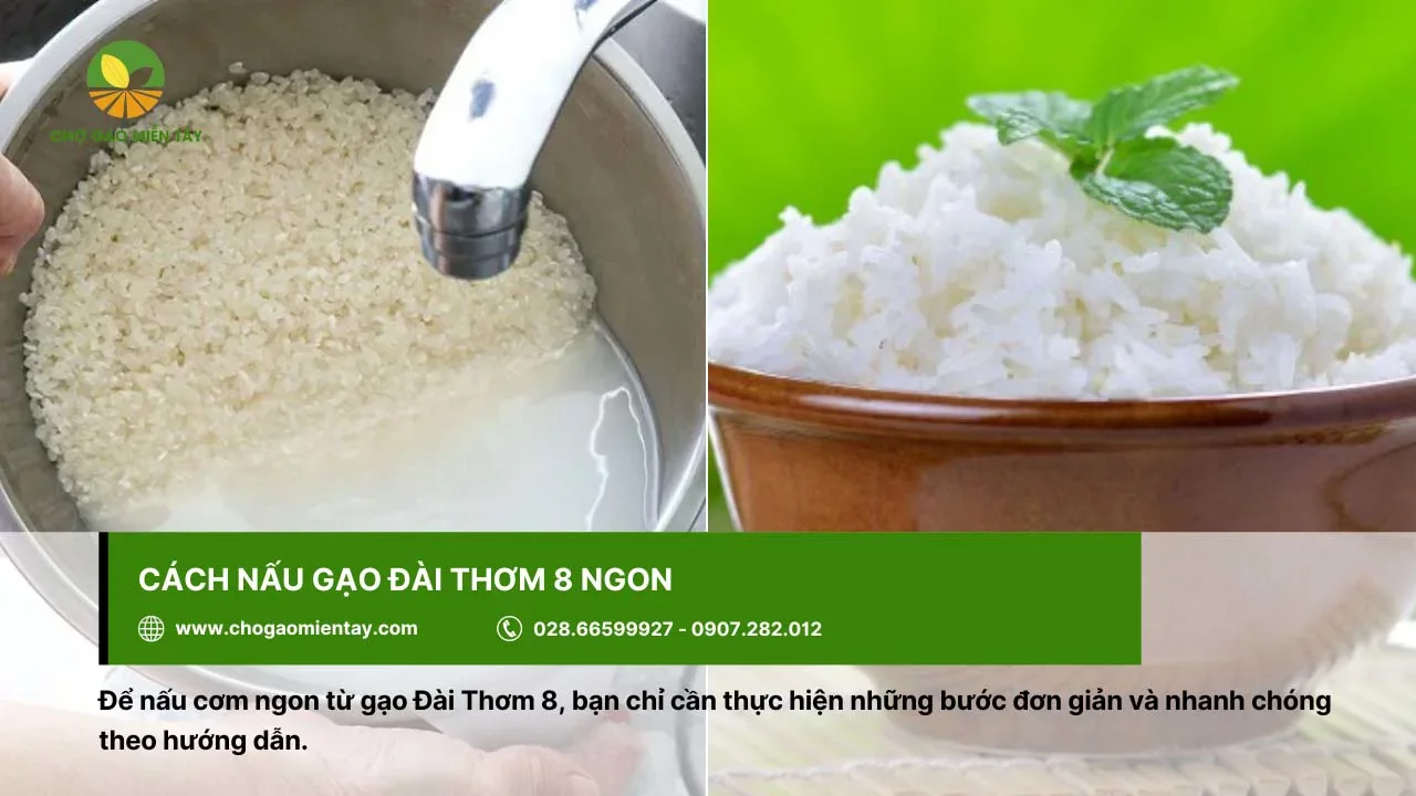 Cách nấu cơm từ gạo Đài Thơm 8 rất dễ thực hiện